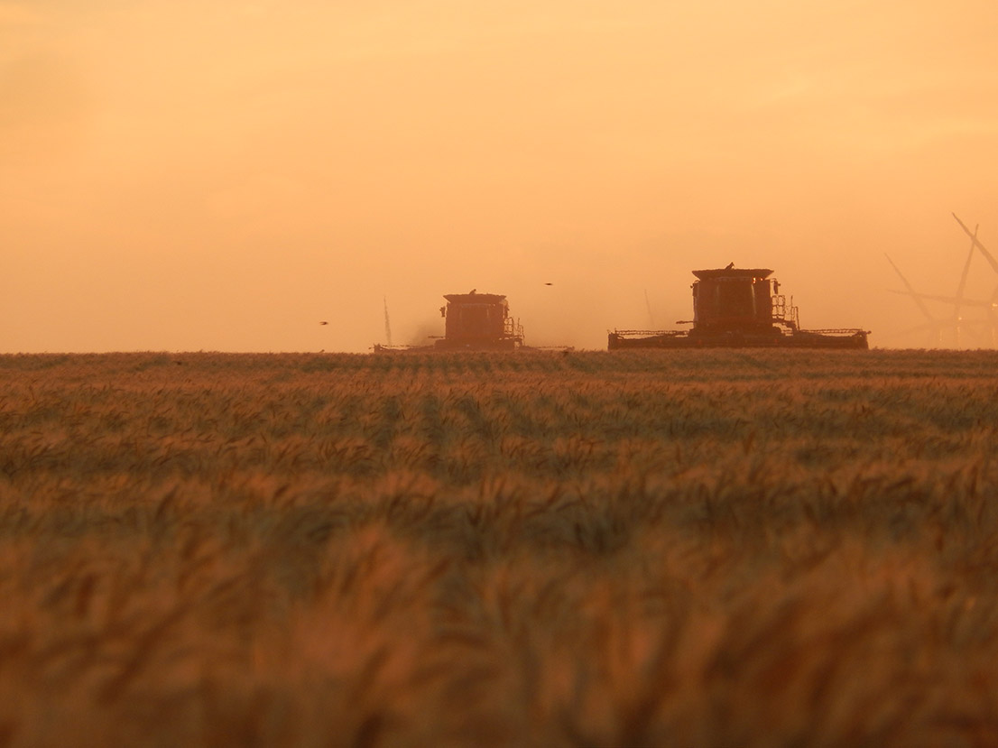 Thacker Harvesting